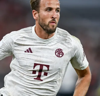 的亚军乃至 的亚军乃至